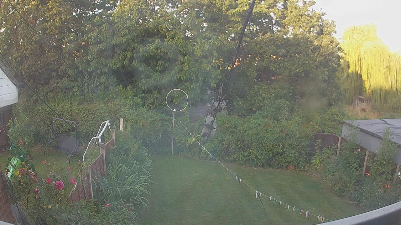 20260812_053752_cam1.jpg