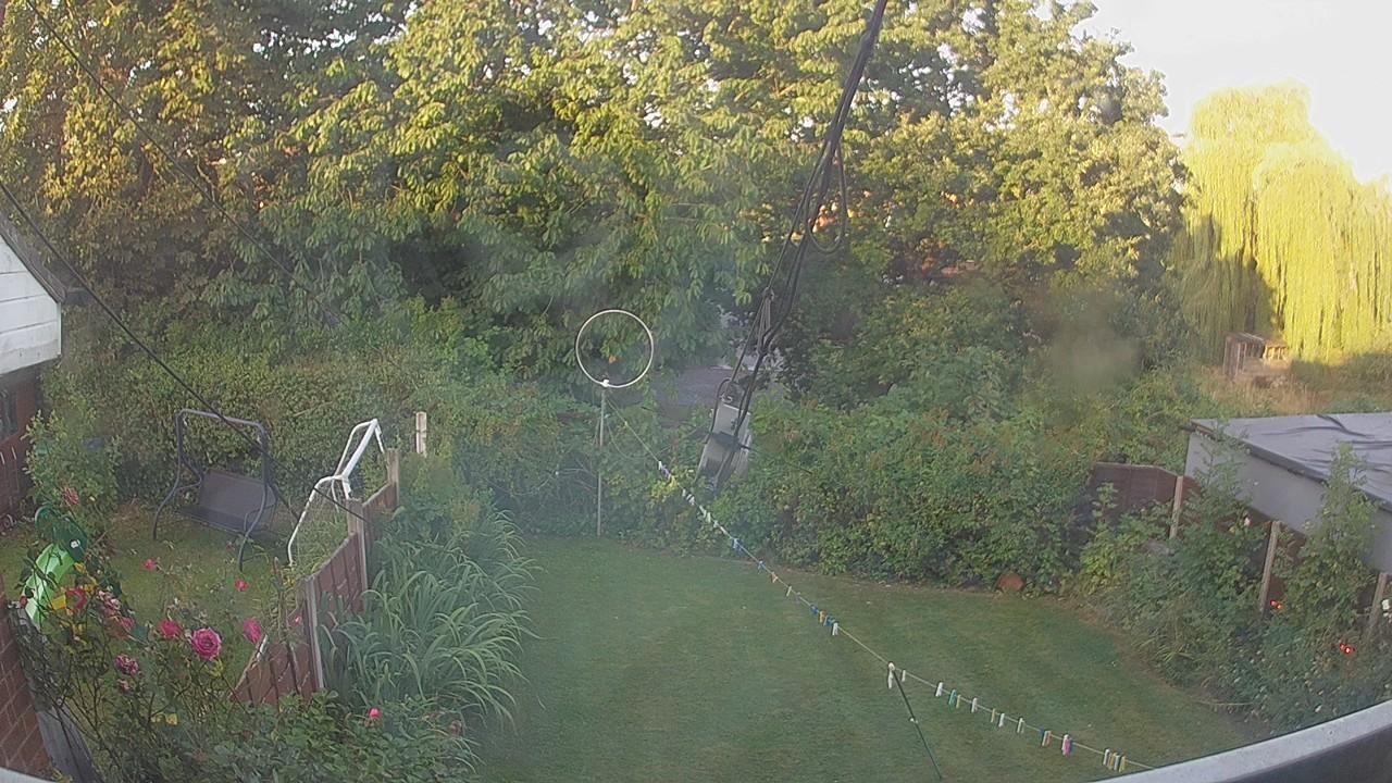 20260812_054238_cam1.jpg