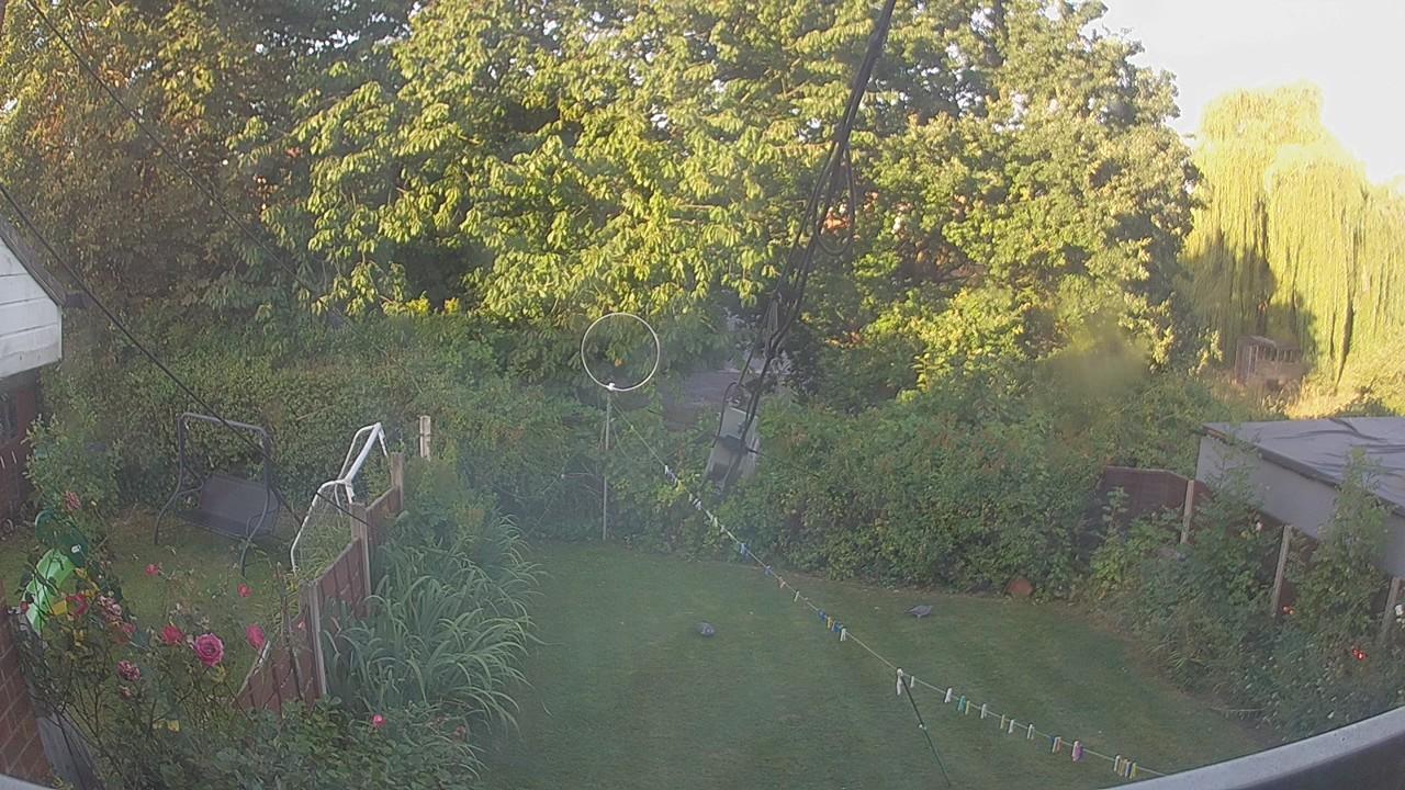 20260812_060149_cam1.jpg