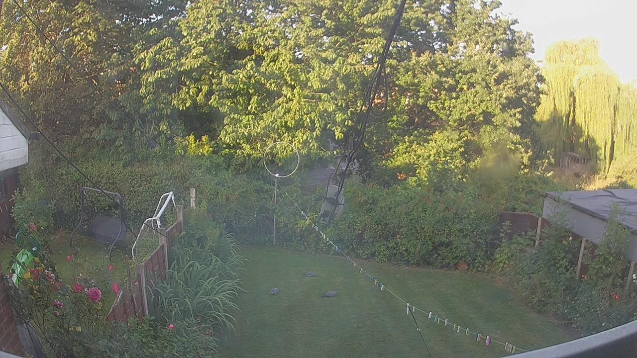 20260812_060643_cam1.jpg