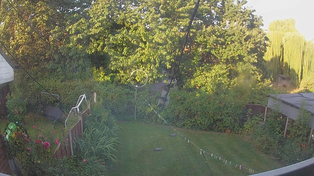 20260812_061147_cam1.jpg