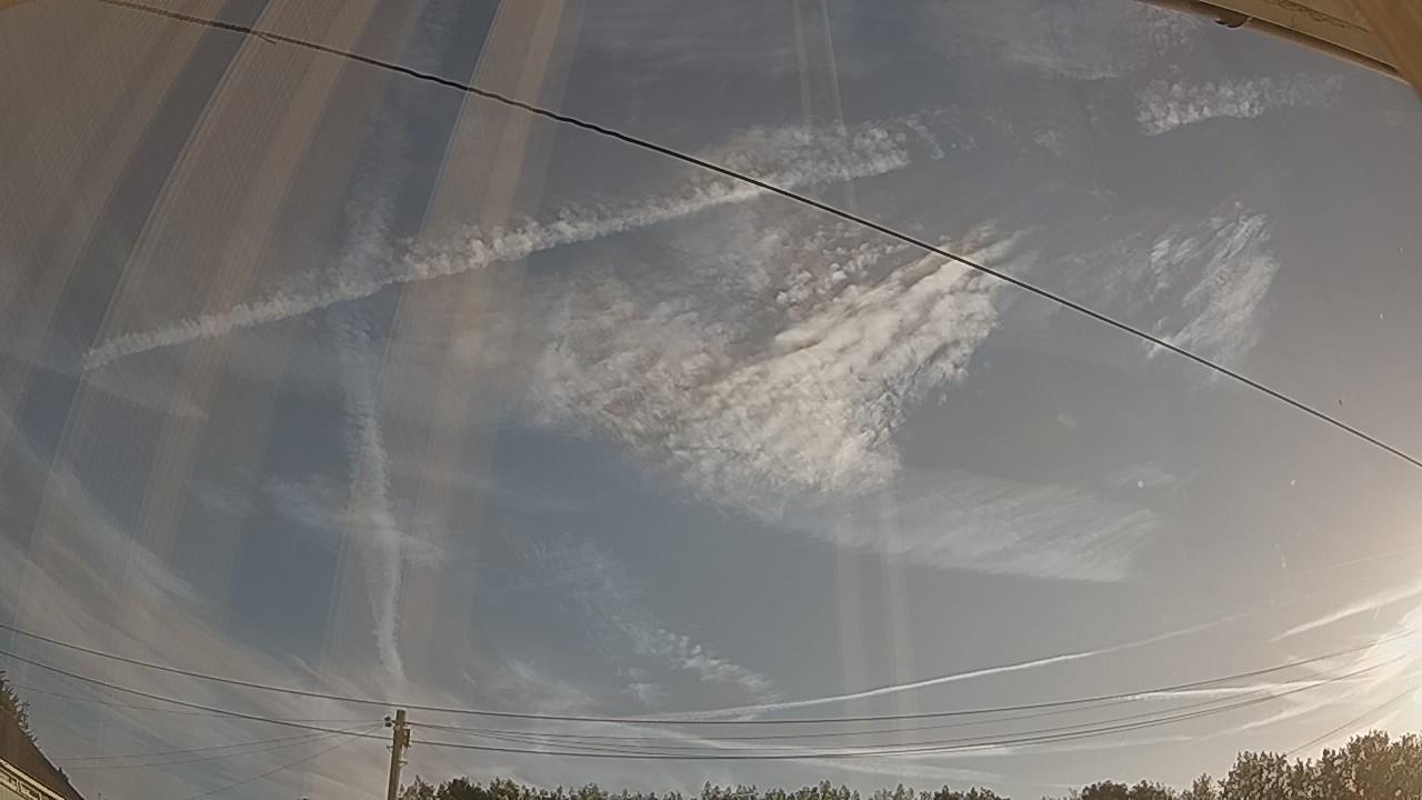 20260812_061148_cam2.jpg