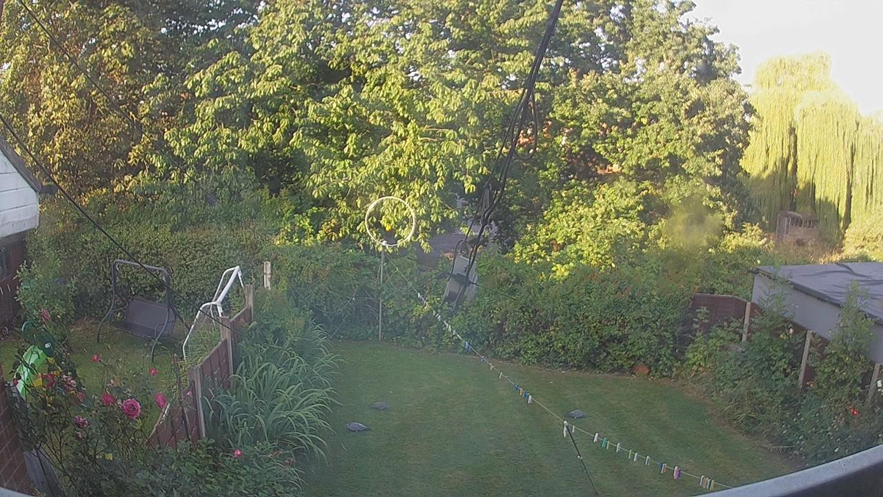 20260812_061641_cam1.jpg