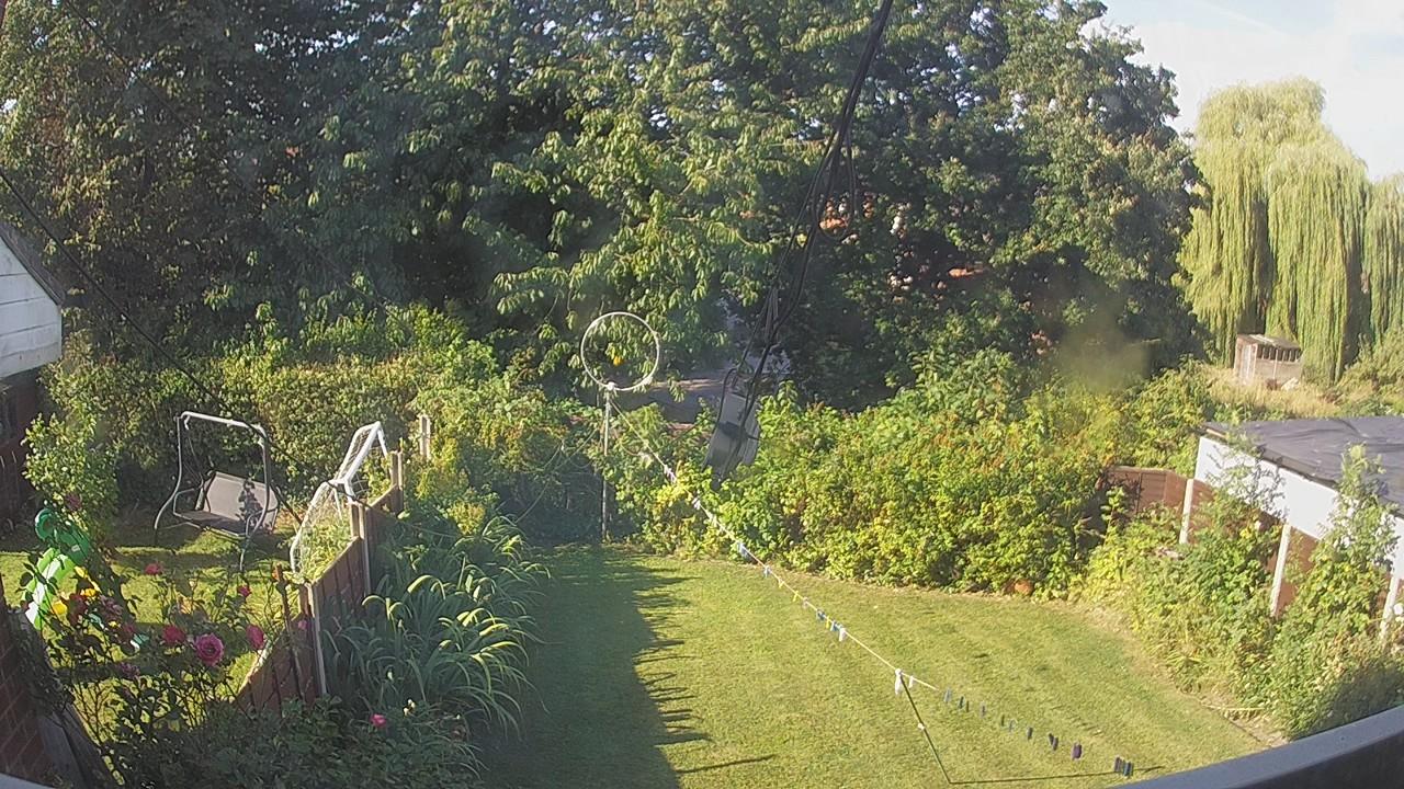 20260812_080424_cam1.jpg