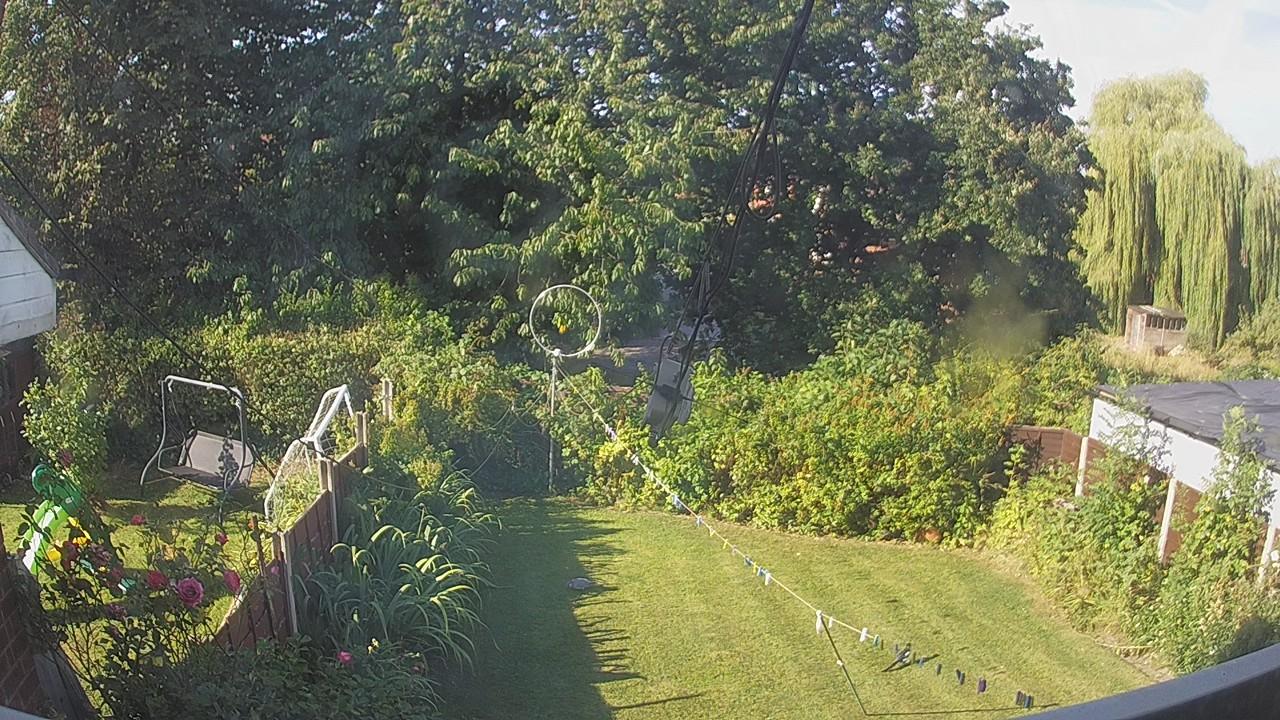 20260812_080852_cam1.jpg