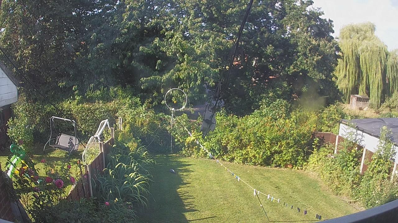 20260812_081320_cam1.jpg