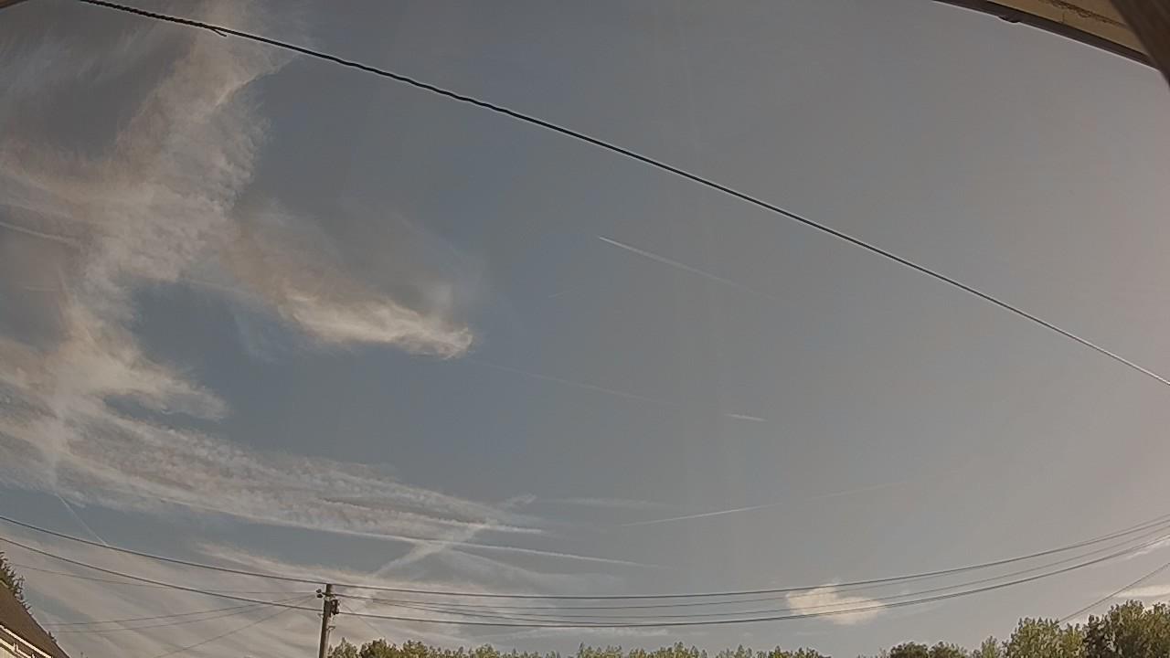 20260812_081321_cam2.jpg