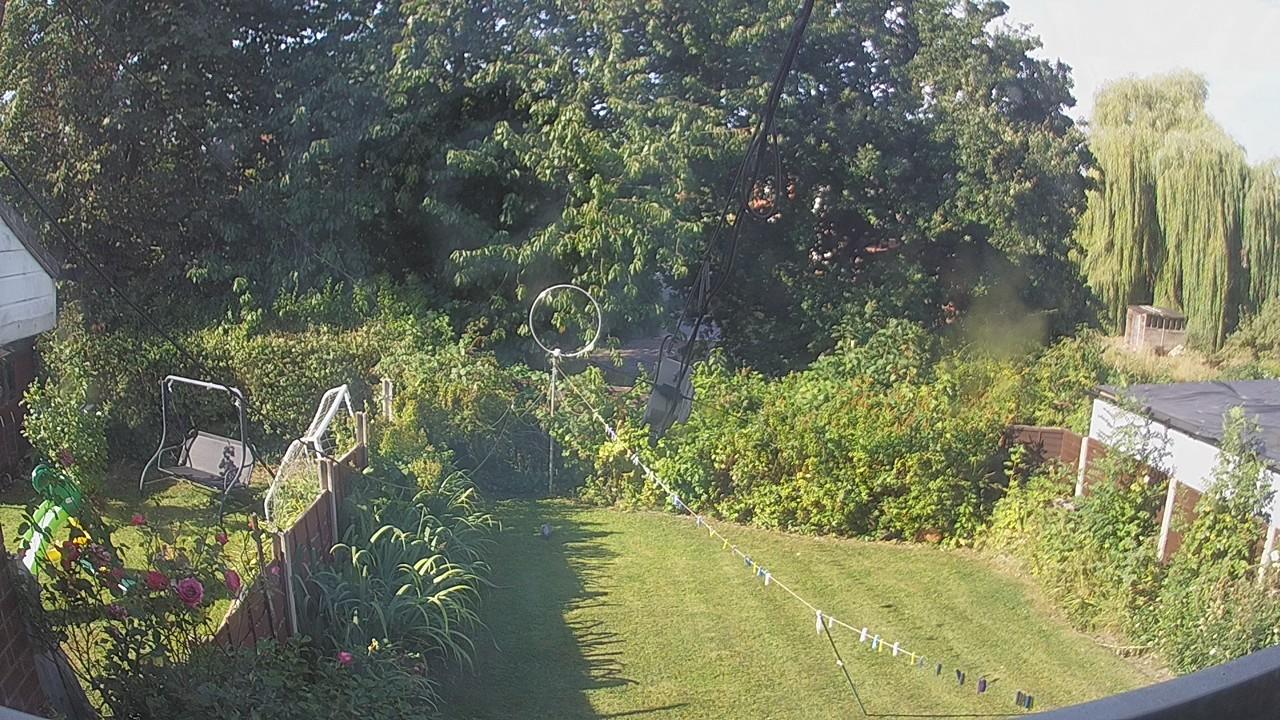 20260812_081748_cam1.jpg