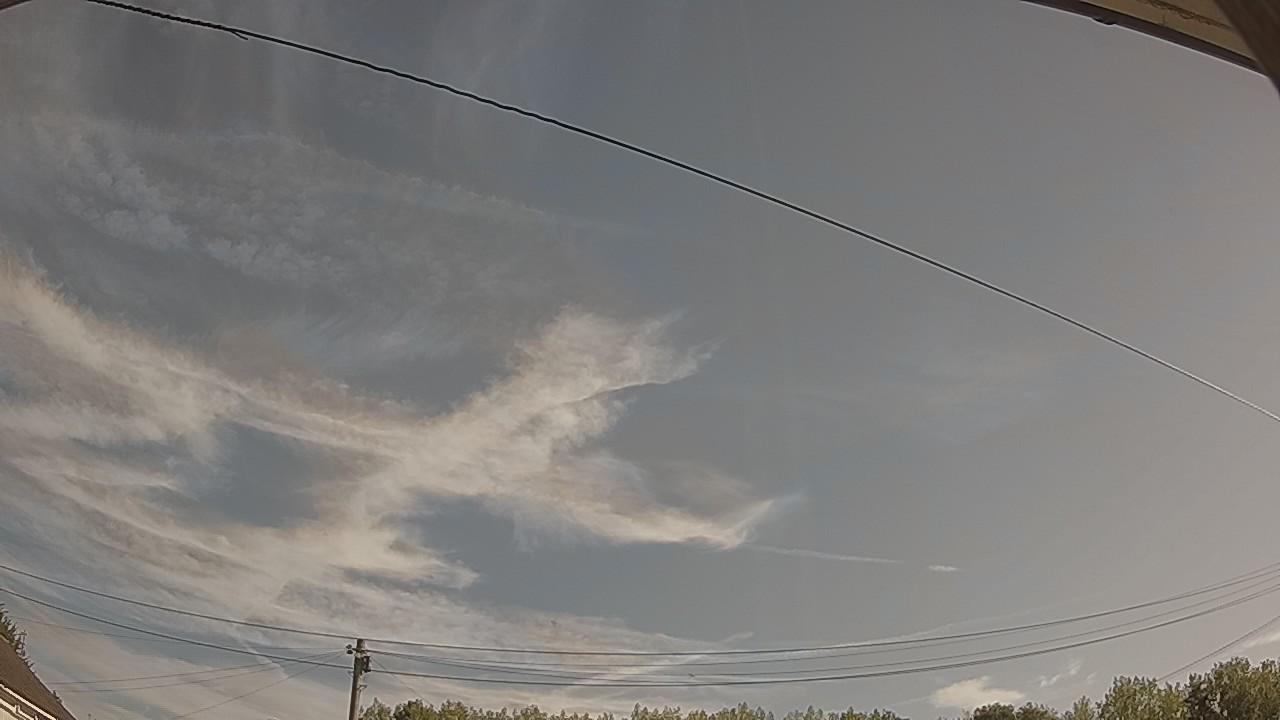 20260812_082217_cam2.jpg