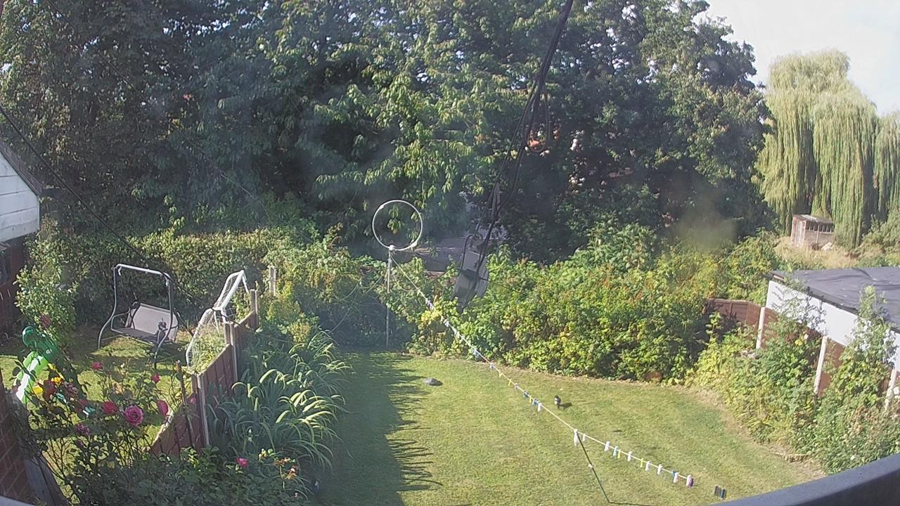20260812_083111_cam1.jpg