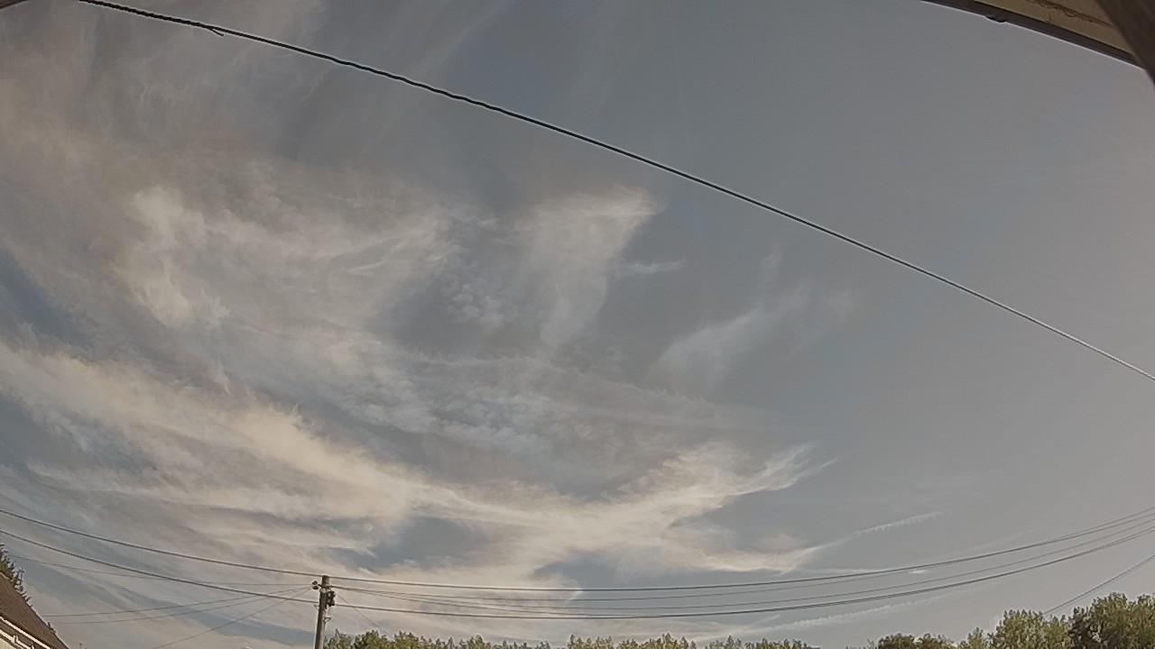 20260812_083112_cam2.jpg