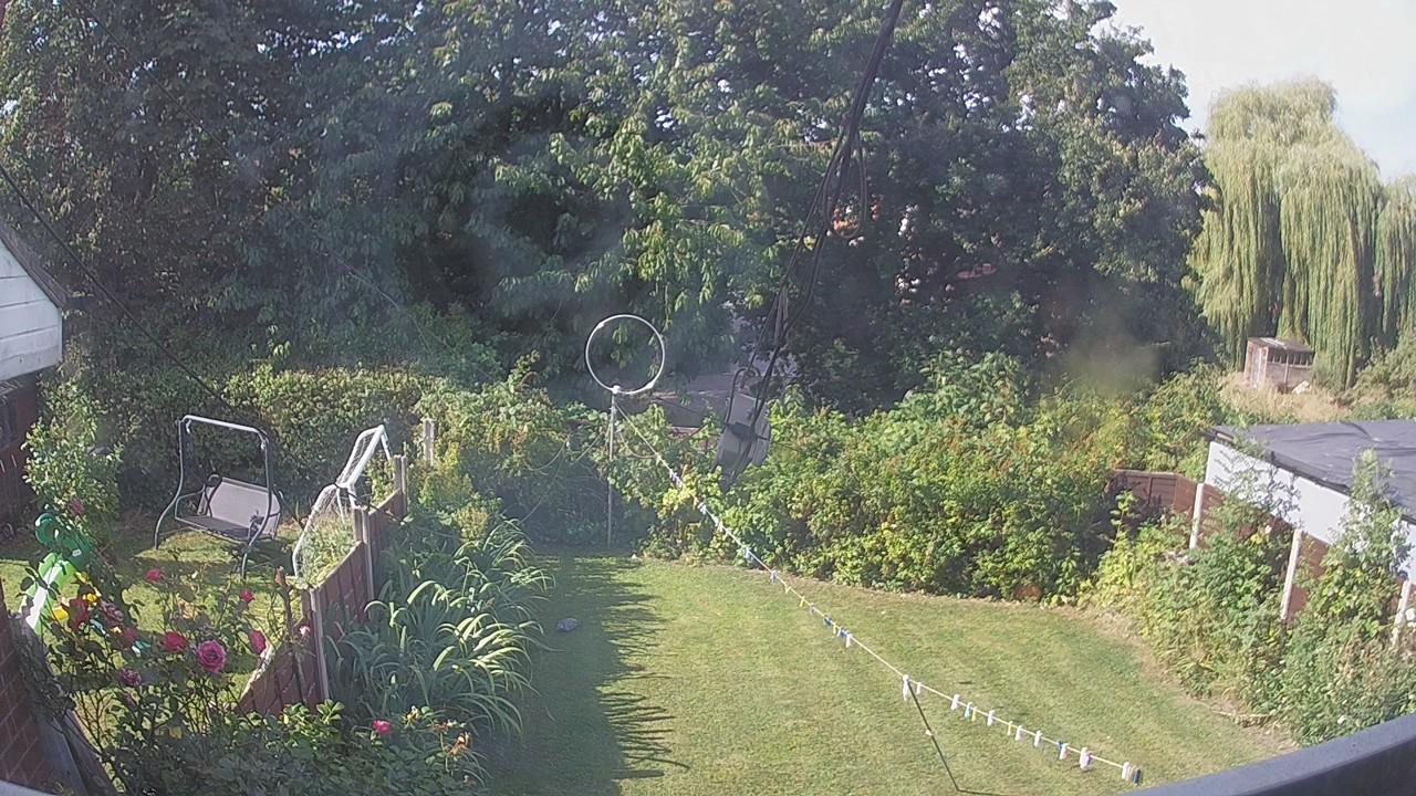 20260812_084006_cam1.jpg