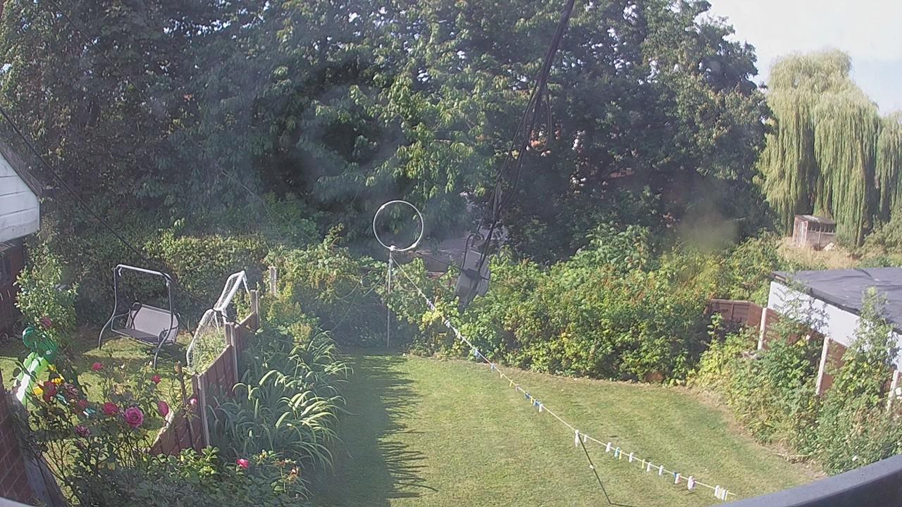 20260812_084433_cam1.jpg
