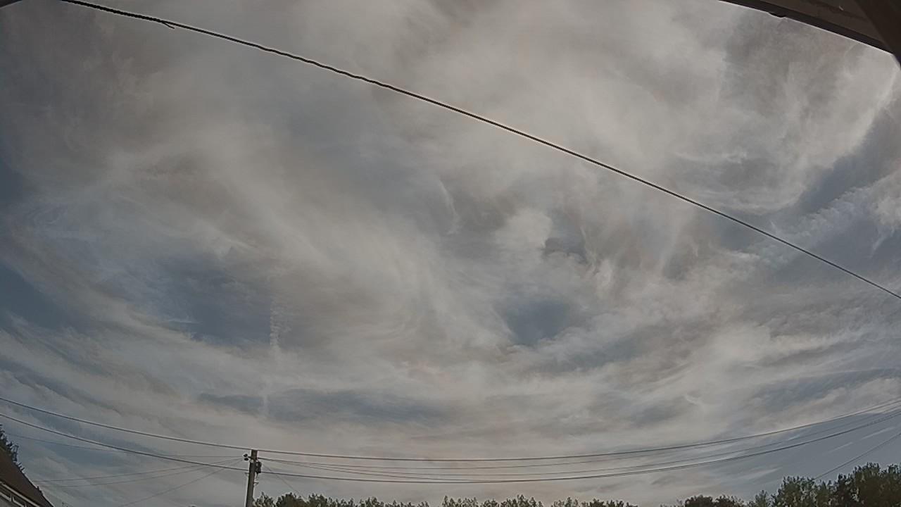 20260812_090232_cam2.jpg