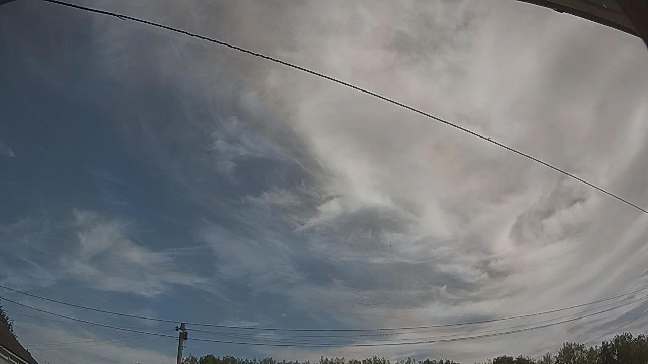 20260812_092950_cam2.jpg