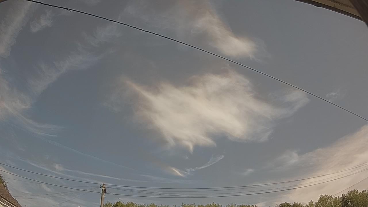 20260812_100431_cam2.jpg