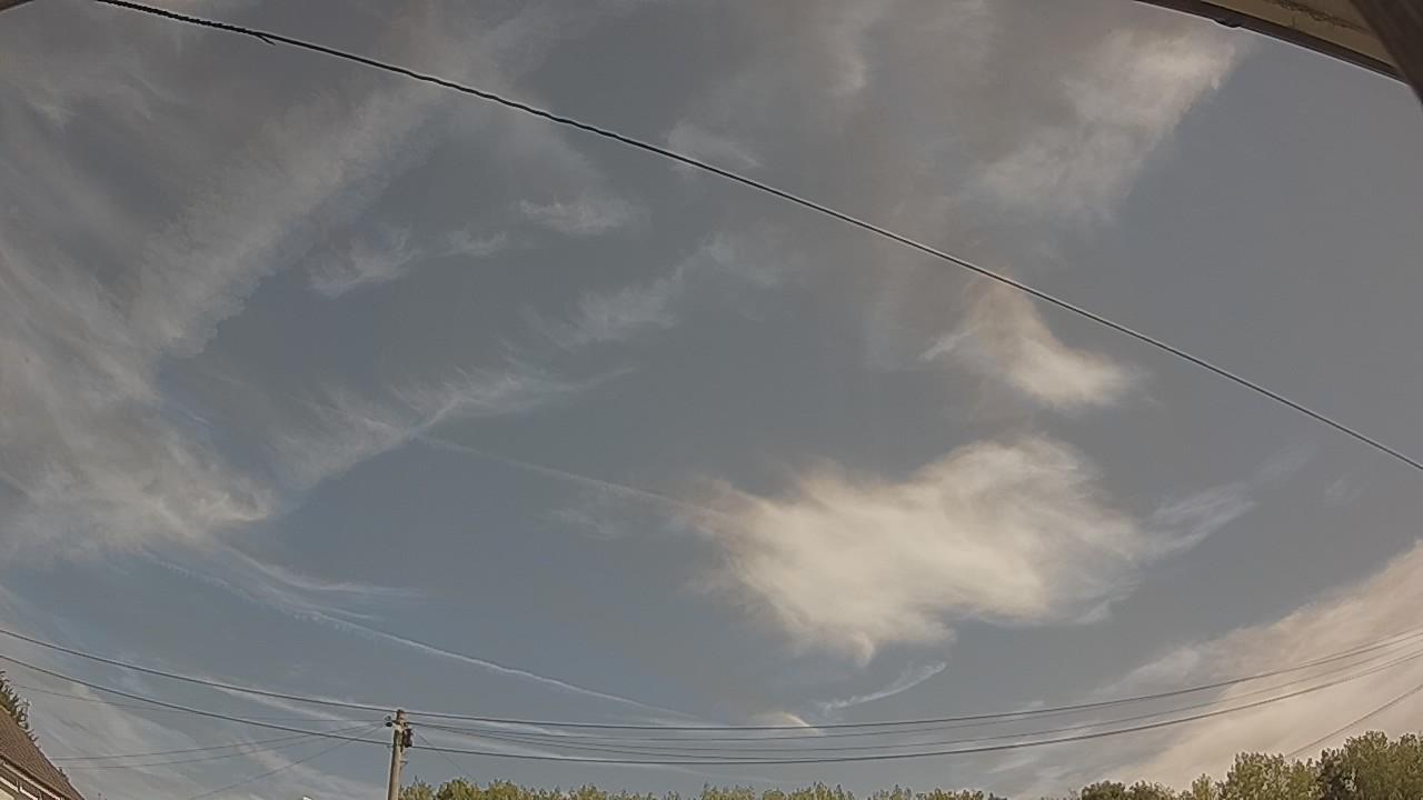 20260812_100858_cam2.jpg