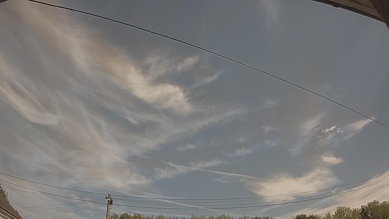 20260812_101752_cam2.jpg