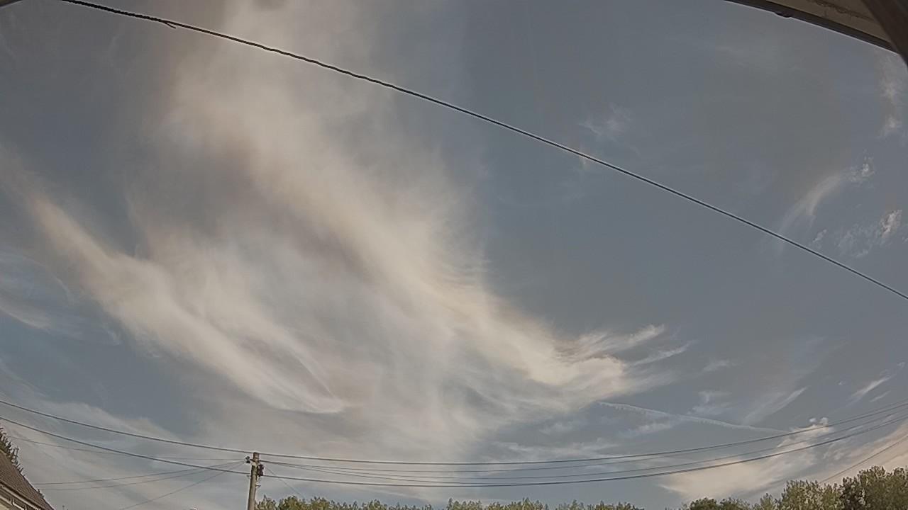 20260812_102646_cam2.jpg