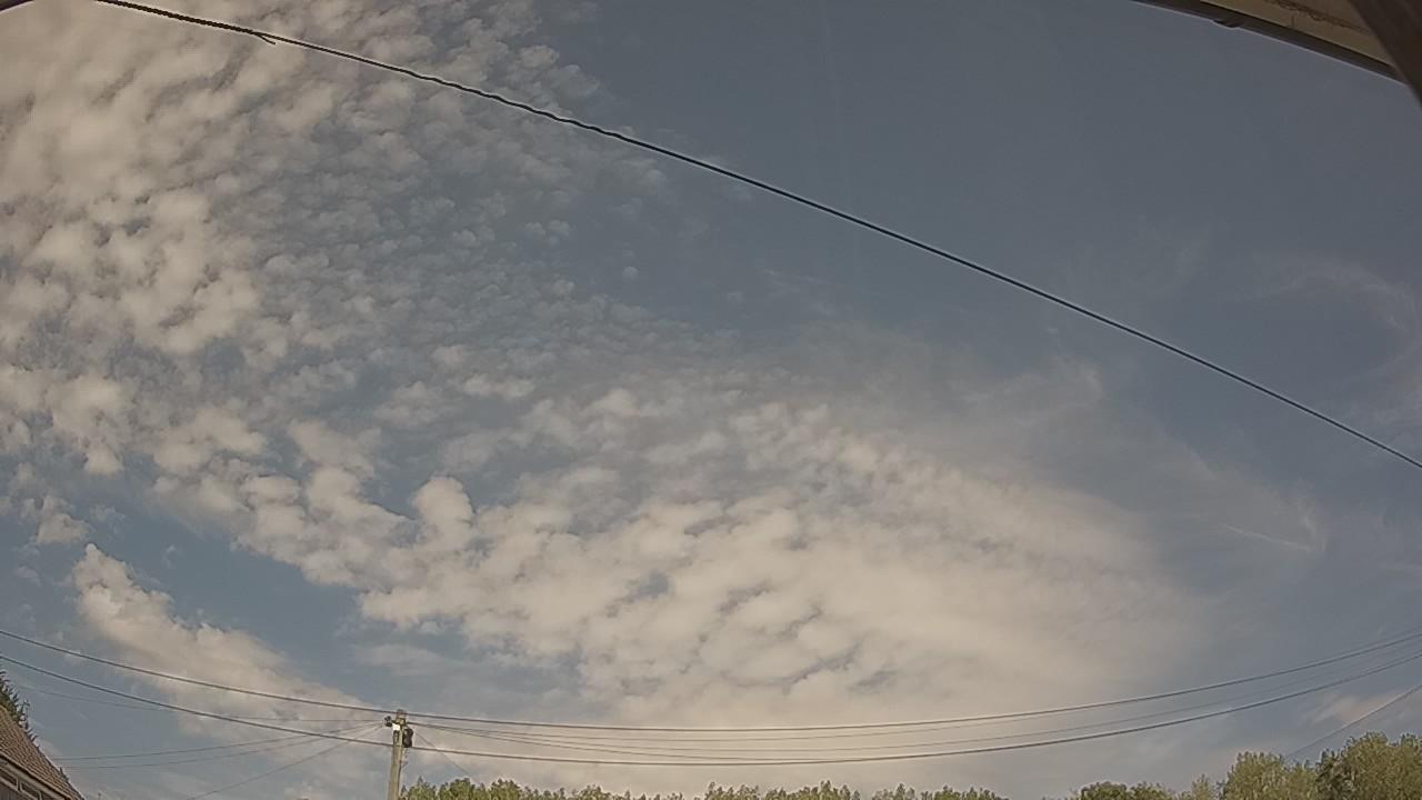 20260812_125255_cam2.jpg