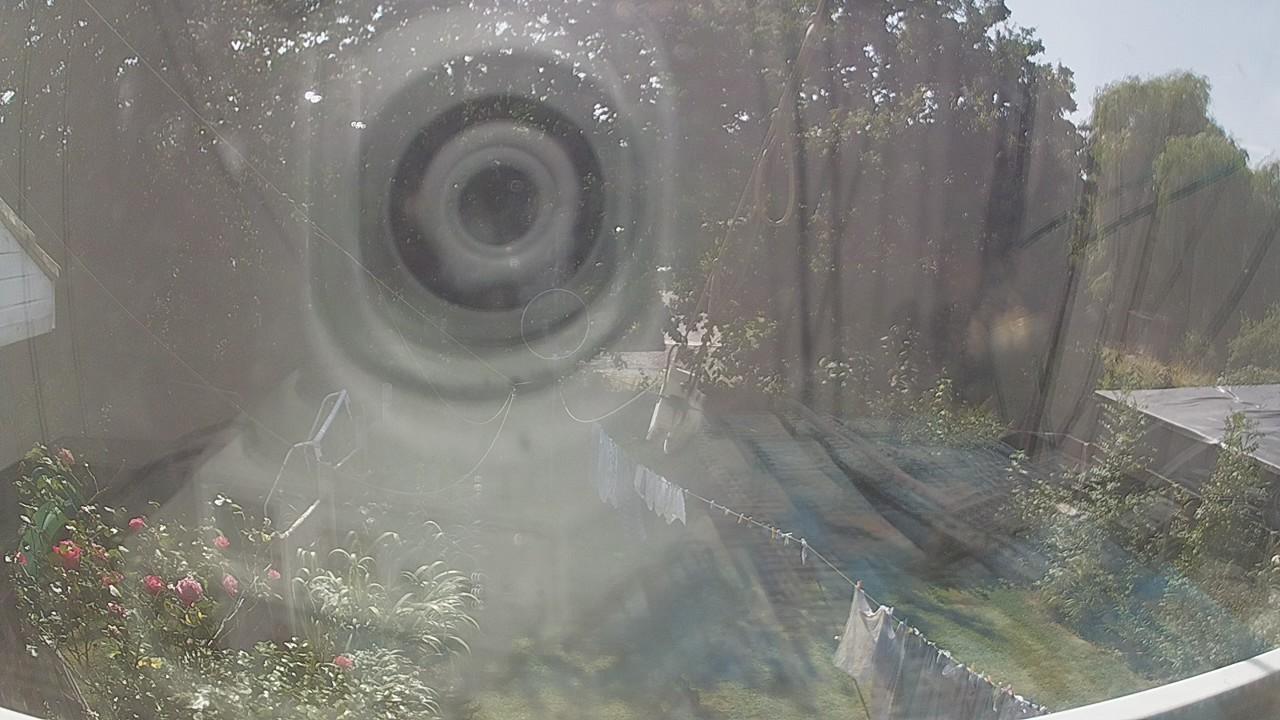 20260812_133704_cam1.jpg
