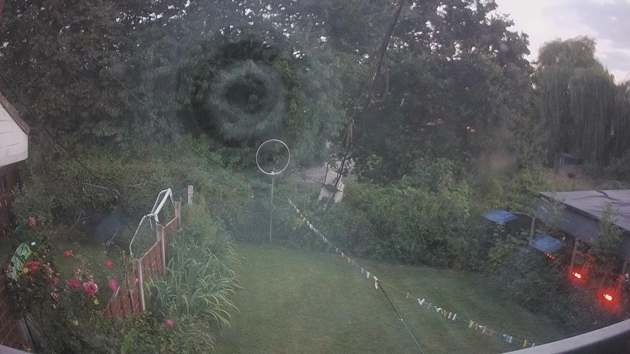 20260812_200650_cam1.jpg