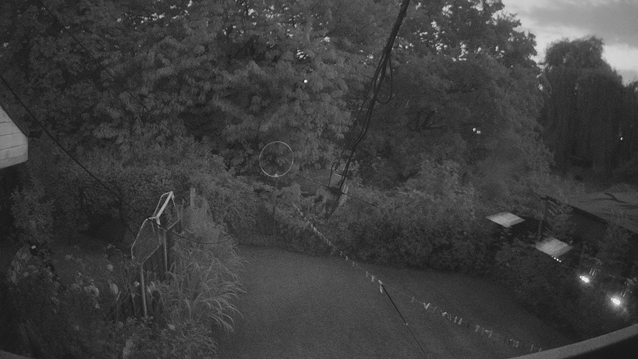 20260812_202038_cam1.jpg