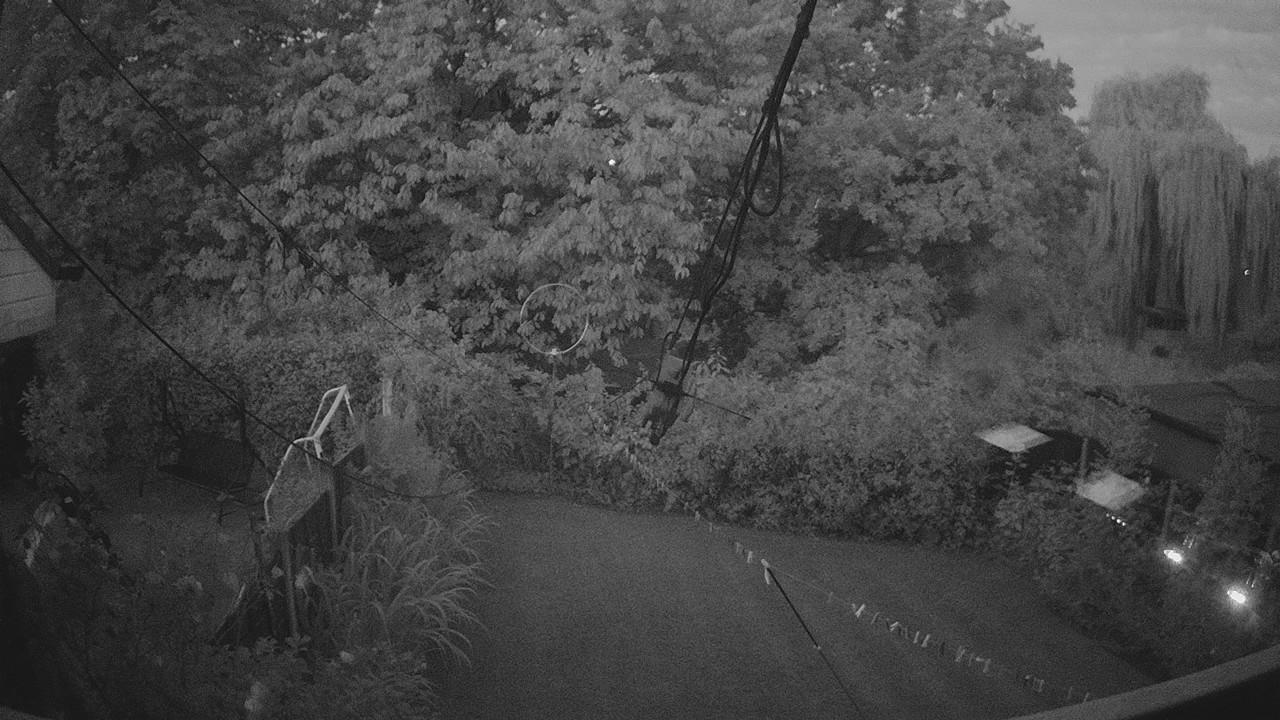 20260813_040619_cam1.jpg