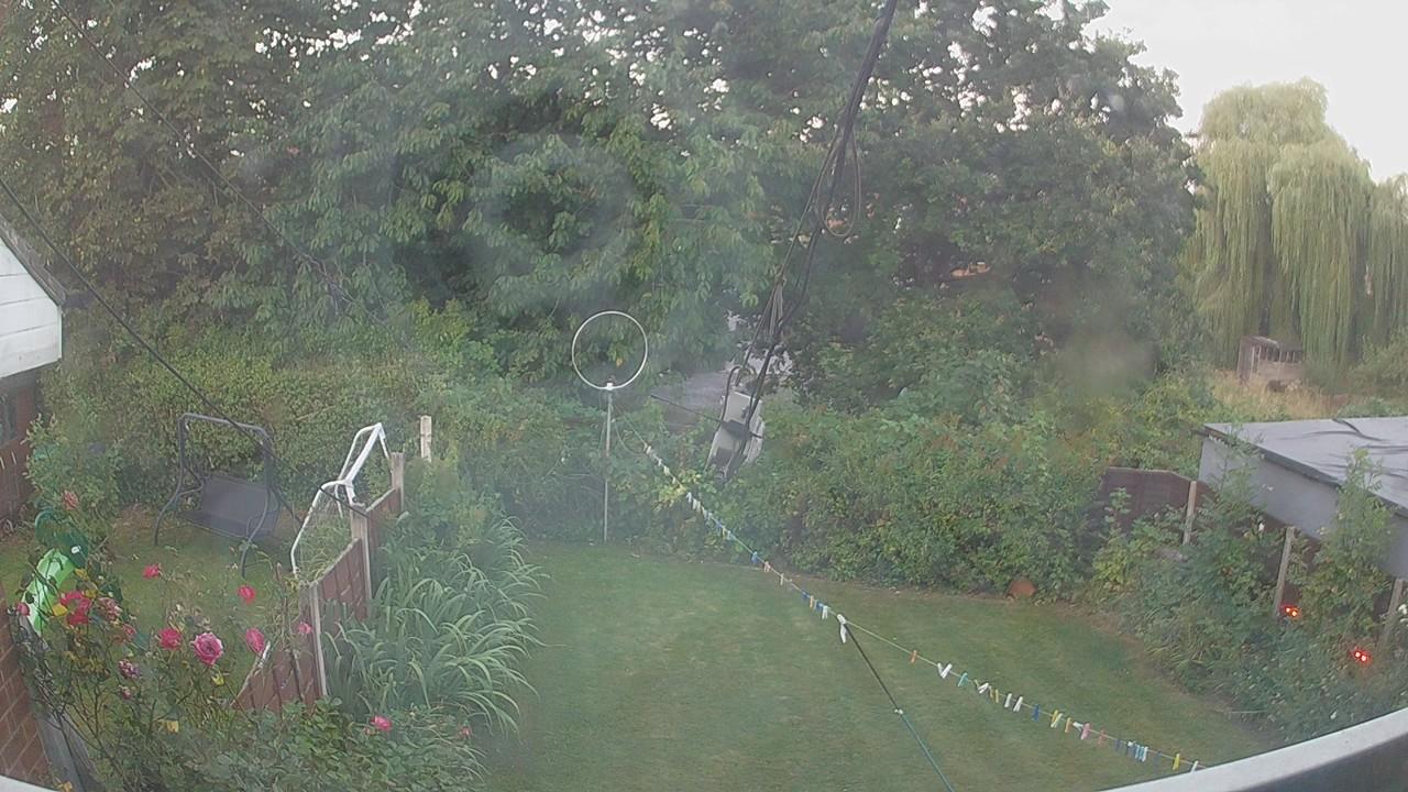 20260813_045302_cam1.jpg