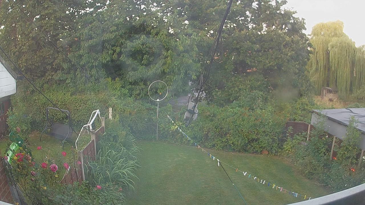 20260813_051650_cam1.jpg