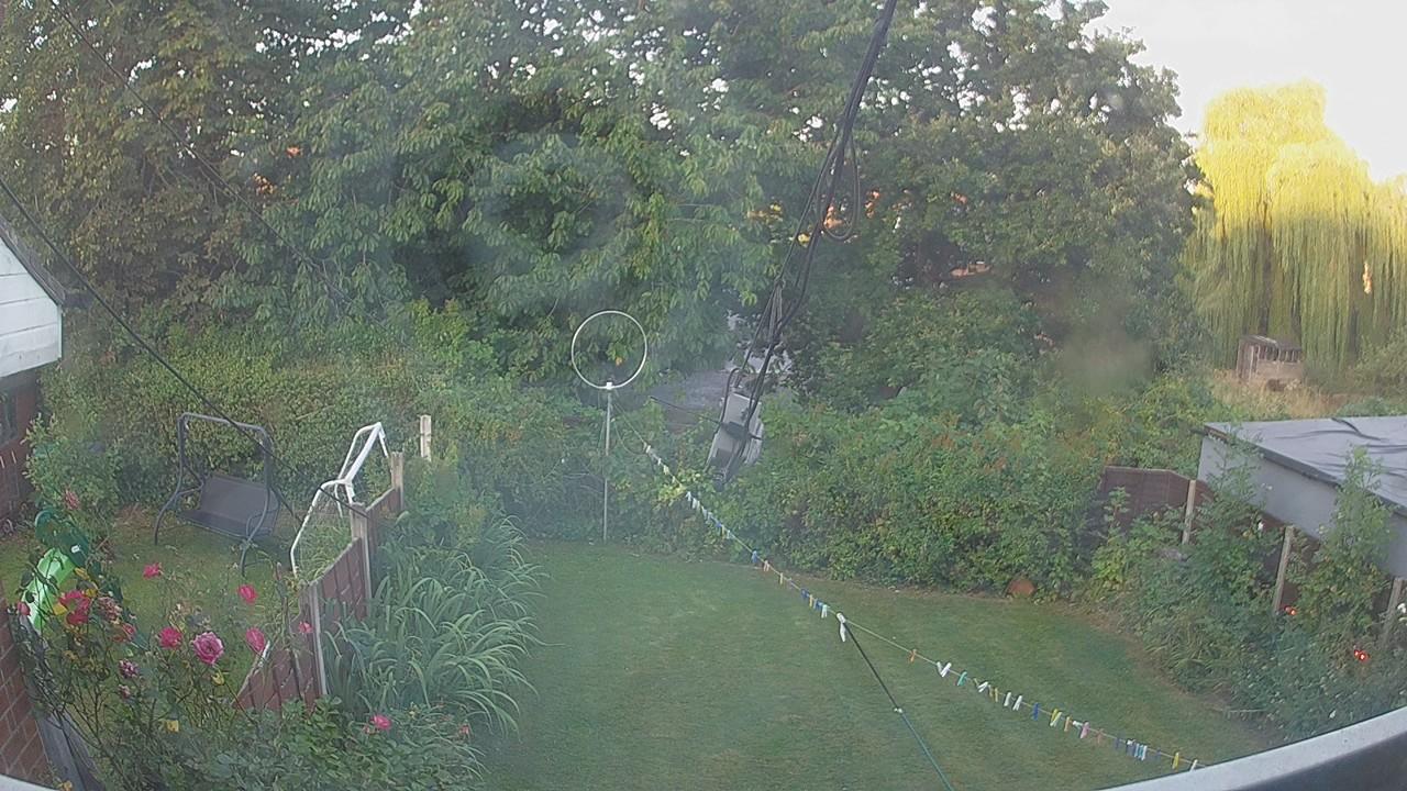 20260813_053056_cam1.jpg