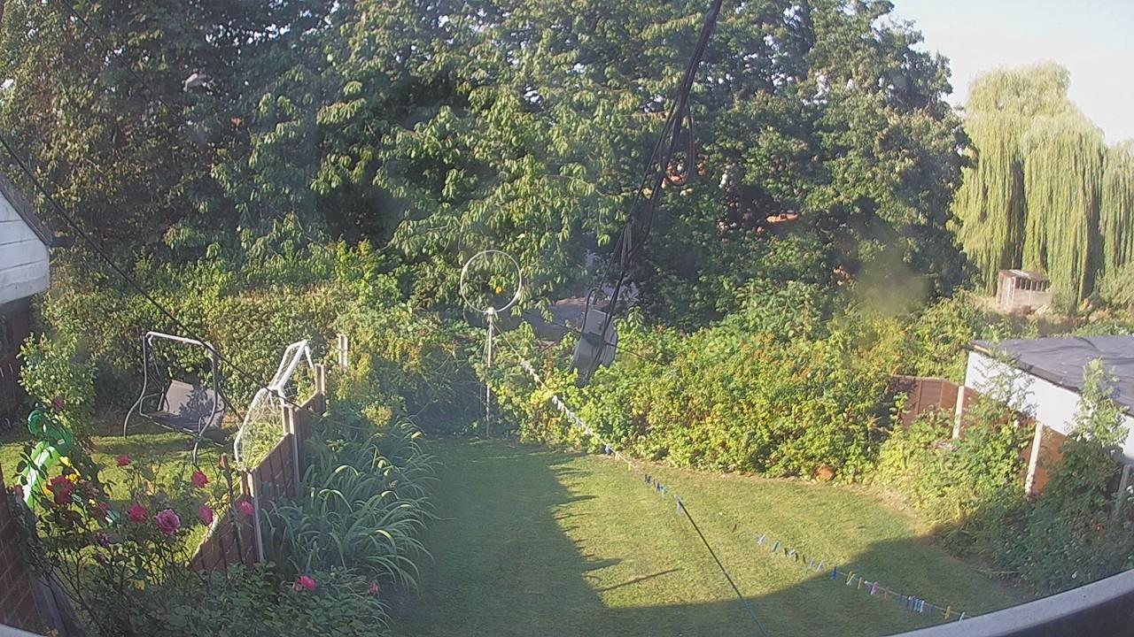 20260813_072941_cam1.jpg