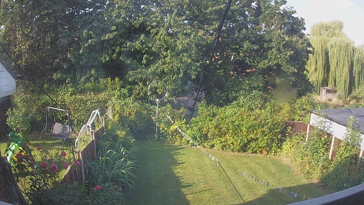20260813_074357_cam1.jpg