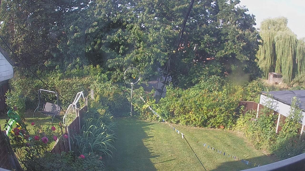 20260813_074842_cam1.jpg