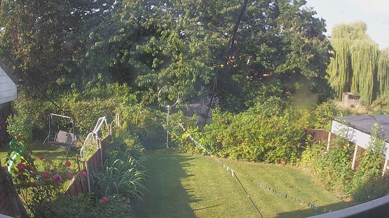 20260813_075328_cam1.jpg