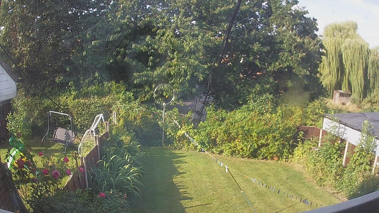 20260813_080250_cam1.jpg