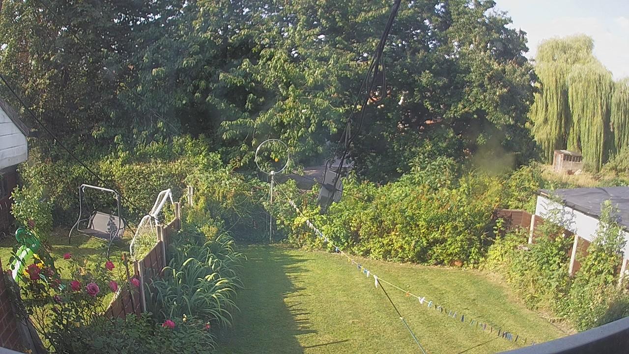 20260813_080726_cam1.jpg