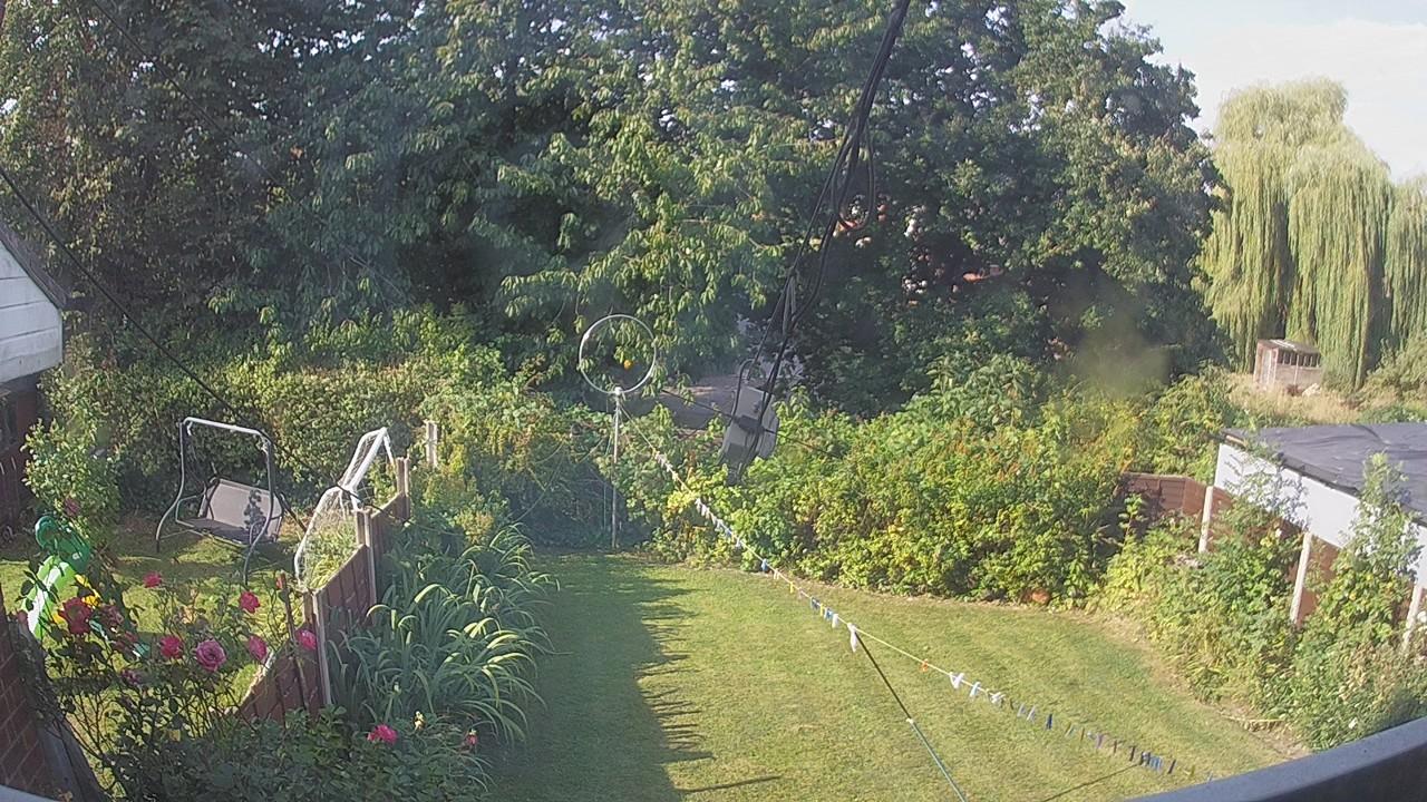 20260813_081203_cam1.jpg