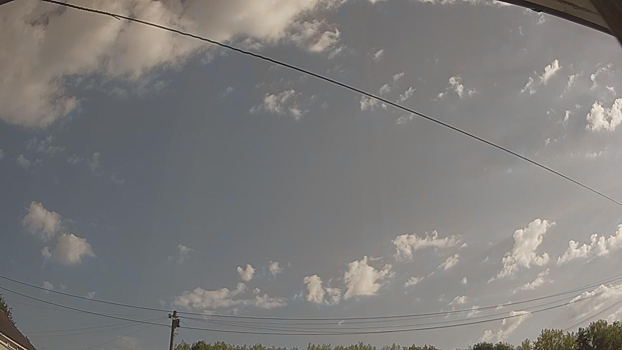20260813_081204_cam2.jpg