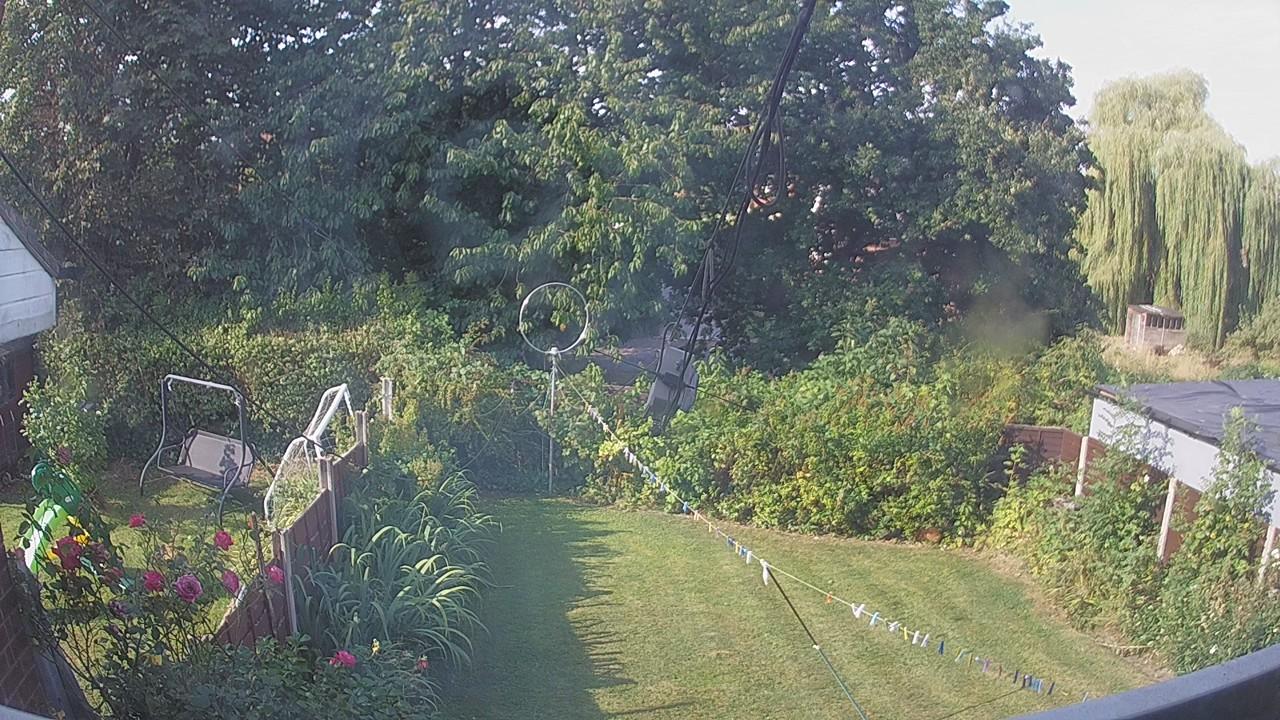 20260813_081639_cam1.jpg