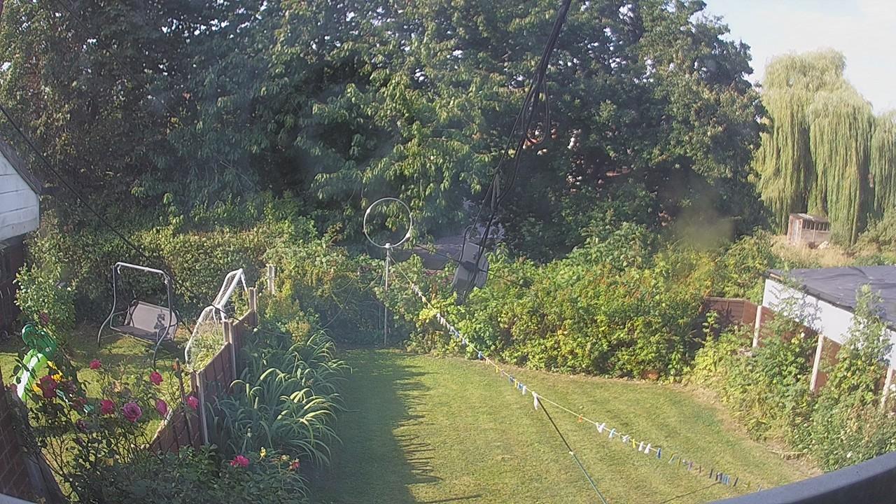 20260813_082116_cam1.jpg