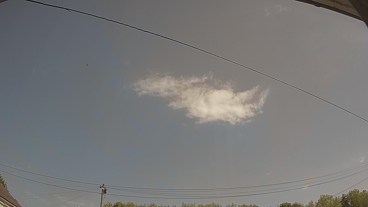 20260813_100232_cam2.jpg
