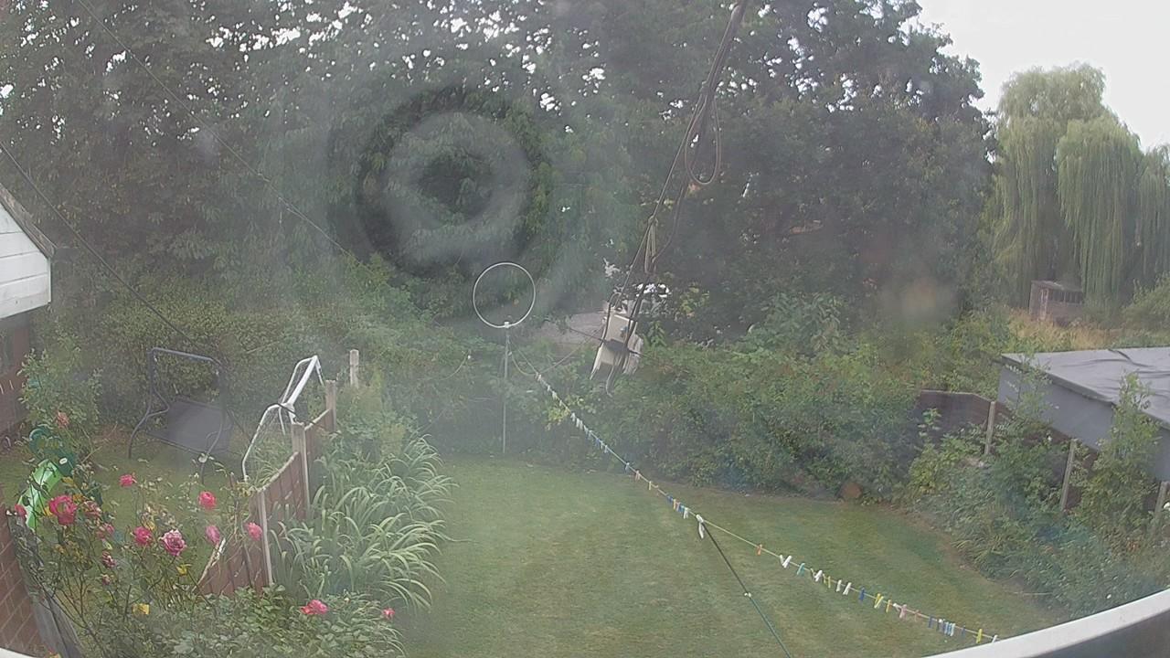 20260813_121855_cam1.jpg