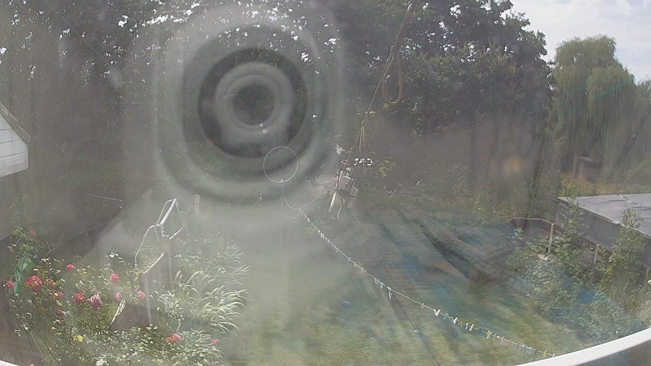 20260813_124901_cam1.jpg
