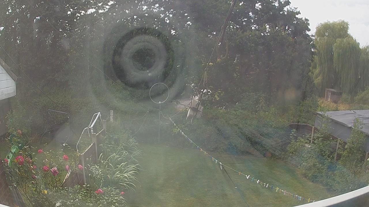 20260813_130139_cam1.jpg