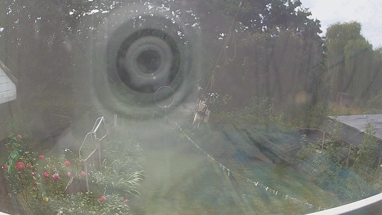20260813_131339_cam1.jpg