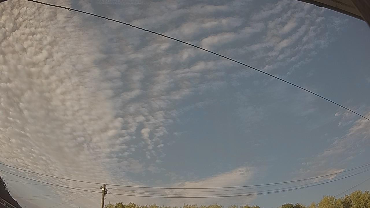 20260813_175334_cam2.jpg