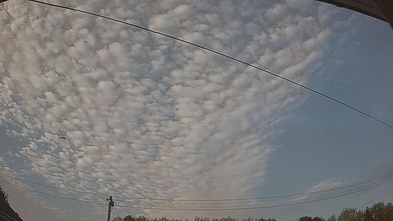 20260813_180833_cam2.jpg