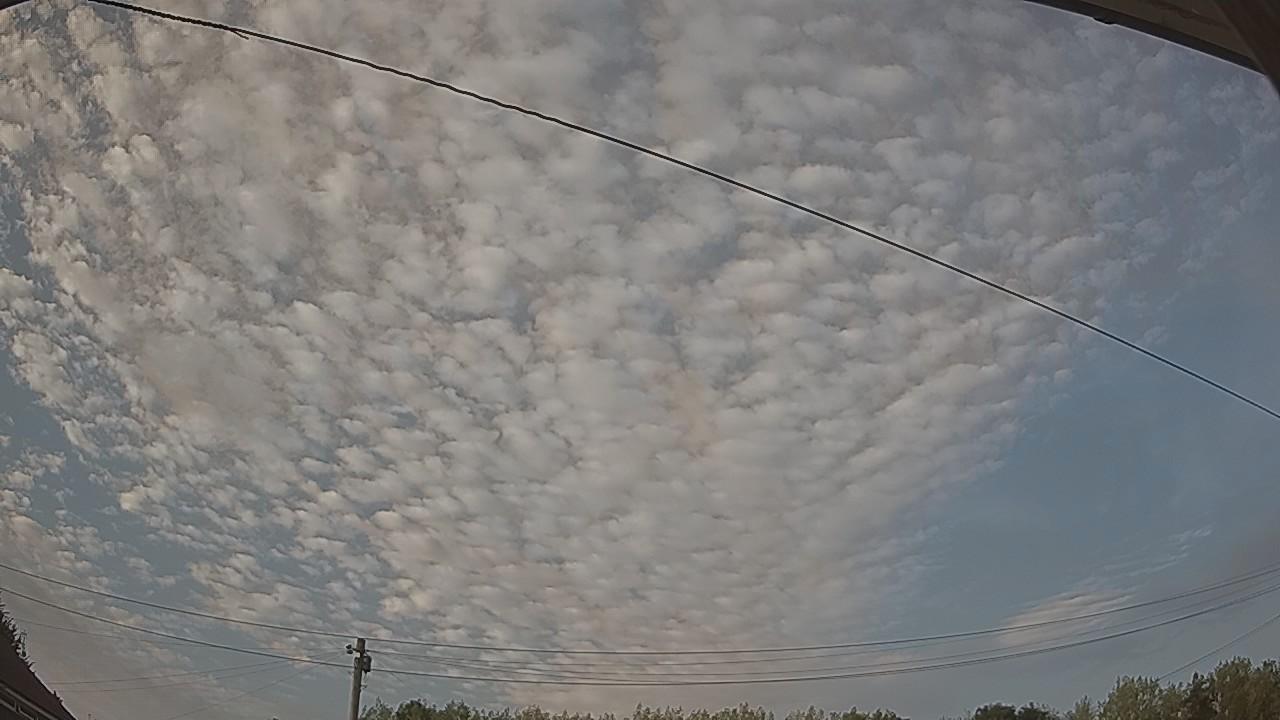20260813_181224_cam2.jpg