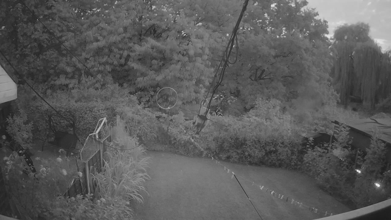 20260813_200631_cam1.jpg